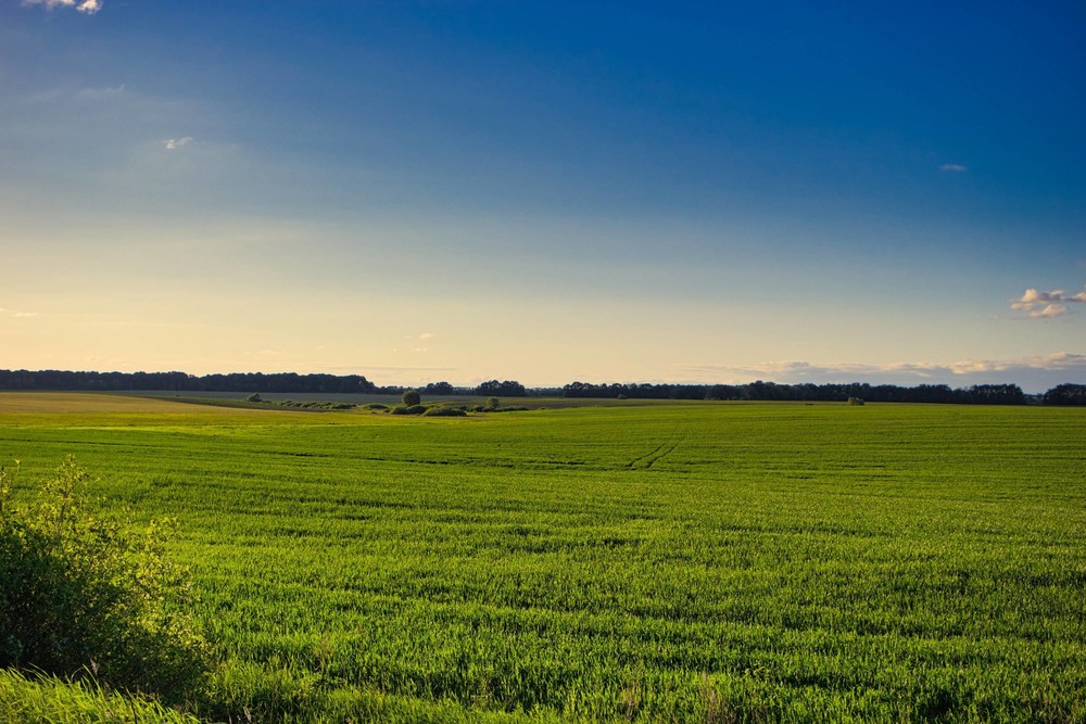 Уведомление. На земельных участка расположенных в границах Бунинского сельсовета с 22 апреля по 28 апреля 2024 года будет проводиться наземная обработка агрохимикатами посевов яровой пшеницы в соответствии с графиком работ..